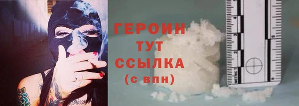 индика Сатка